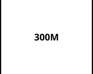 Collection image for: Chrysler	300M