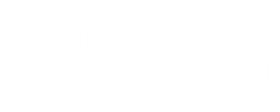 Caraudiogigant.nl