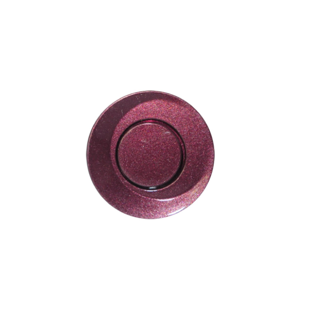 Sensores de aparcamiento | Bronce Berenjena | Asistencia de aparcamiento | CTX-RP20
