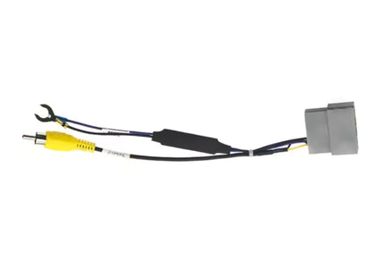 Camera verloopstekker 24-pins voor Honda Civic | Accord | CR-V | Jazz | Odyssey