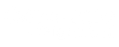 Caraudiogigant.nl